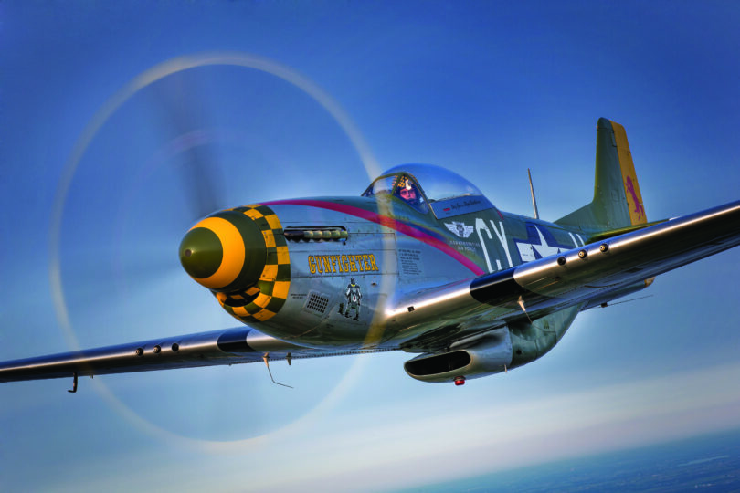 P-51Gunfighter_JimKoepnick (2)