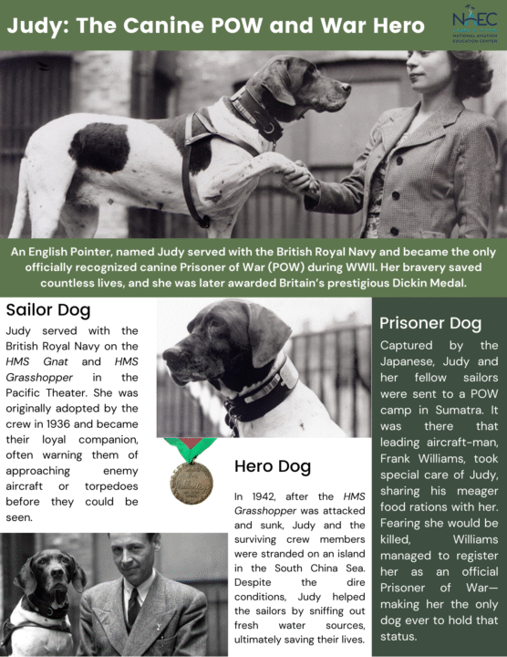Pets of WWII Infographic